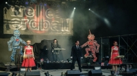 04.07.2015 DFLN Open Air - WELLE: ERDBALL