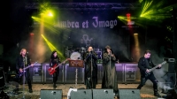 Umbra et Imago 42