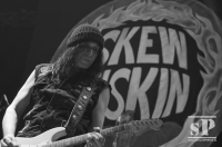 15.11.2014 - Skew Siskin @ MSH Berlin