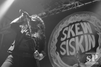 15.11.2014 - Skew Siskin @ MSH Berlin