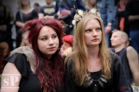 23.05.2015 WGT Heidnisches Dorf