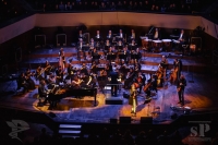 24/25.10.2015 GOTHIC MEETS KLASSIK - Anne Clark