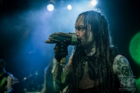 Amorphis 28