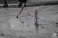 30.07.-01.08.2015 - XXVI. WACKEN OPEN AIR 